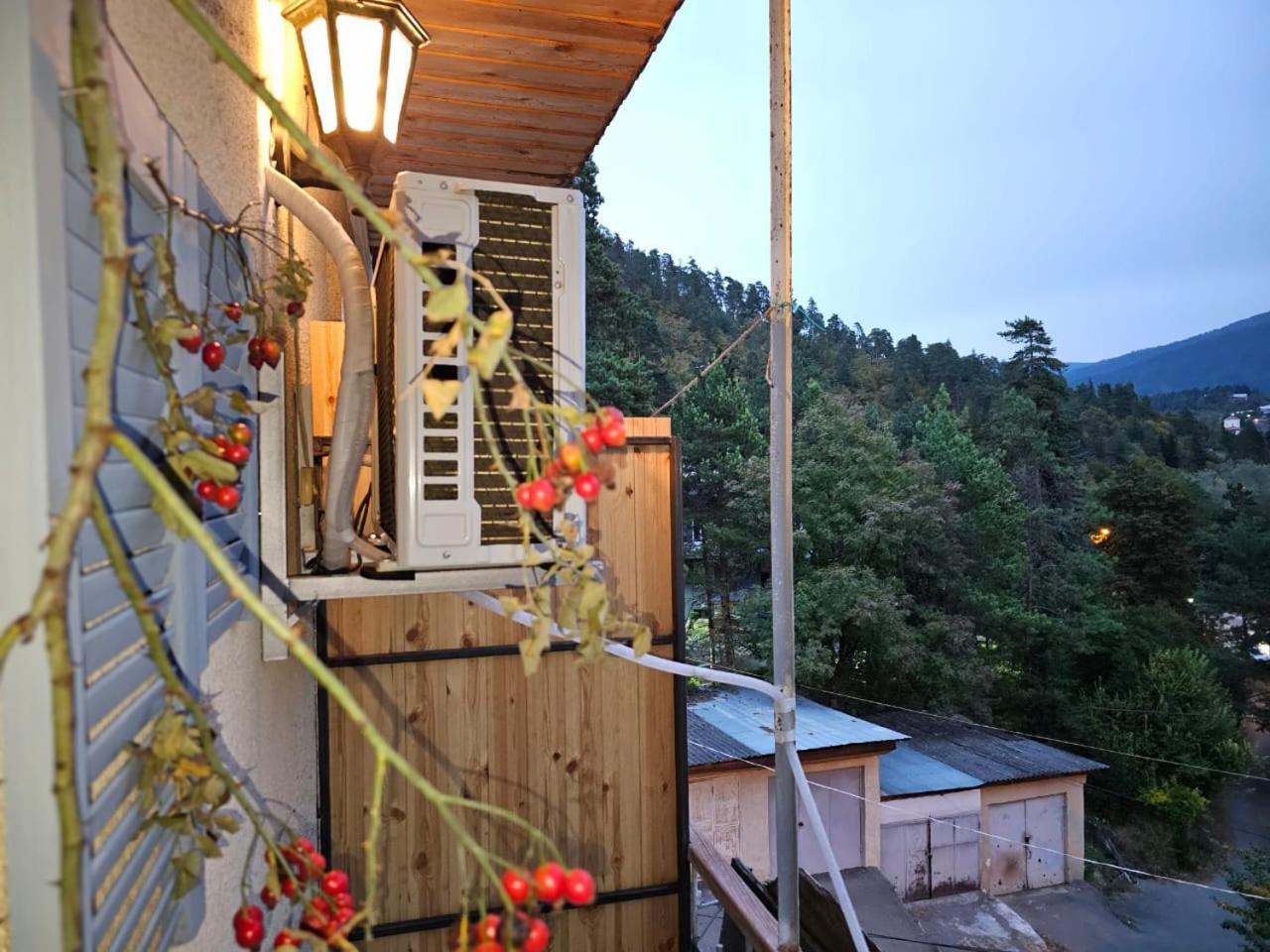 Guest House Likani 2017 Borjomi Quarto foto